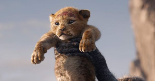 EL REY LEÓN